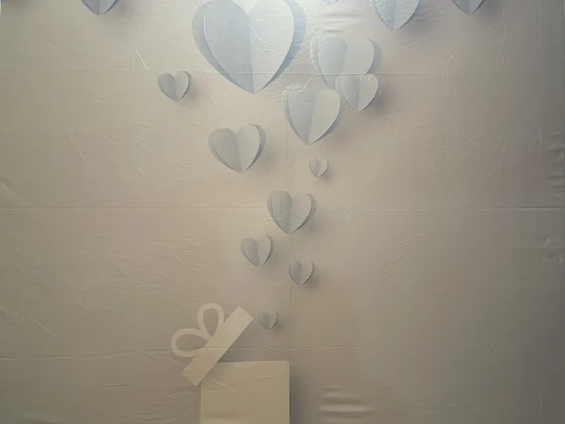 Baby Boy Themed photo booth backdrop