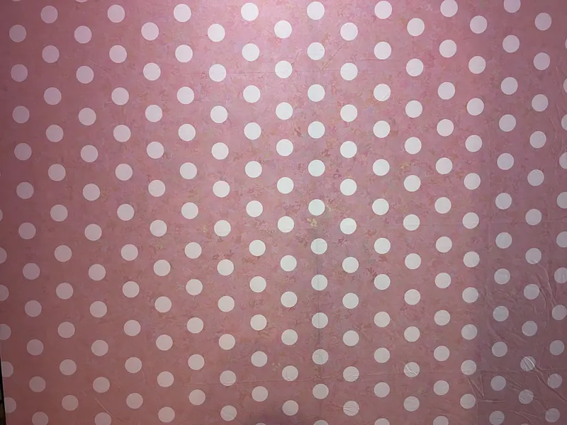 Baby Girl Themed photo booth backdrop